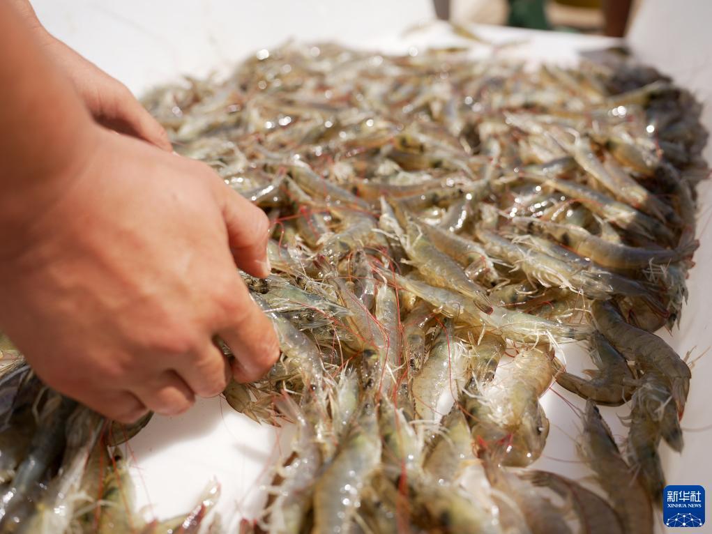 搜狗浏览器